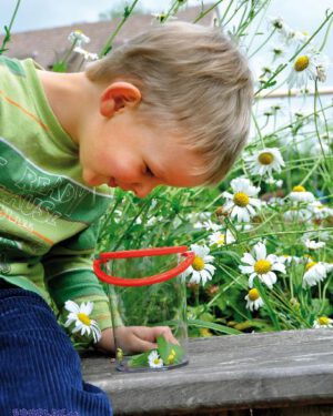 Riesenbecherlupe Große Tierchen große Lupe - Kisus - Kinder, Spiel und Spaß - Naturkunde