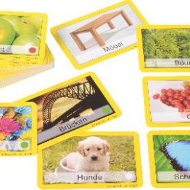 Team-Bildungs-Karten, 60-tlg. im Etui Spielerisch, fair und schnell ... lassen sich mit diesem Kartenset Teams für Paar- und Gruppenarbeit oder im Sportunterricht bilden - Kisus e.K. - Kinder, Spiel und Spaß - Kindergarten, KITA, KIGA, Vorschule, Schule, gemeinsam