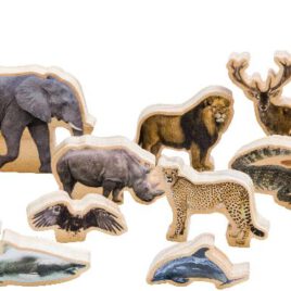 Zootiere real Bausteine mit fotorealistischen Tierabbildungen - Kisus e.K. - Kinder, Spiel und Spaß