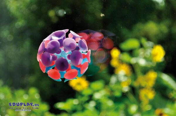 Saugball Wie ein Gecko ... bleibt dieser Ball durch die flexiblen Saugflächen an glatten Oberflächen kleben - wie z. B. Fensterscheiben, Fliesen, Metallflächen. - Kisus e.K. - Kinder, Spiel und Spaß