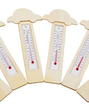 Thermometer DIY Autos 6er Set