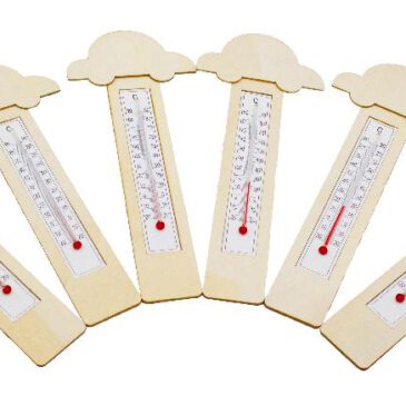 Thermometer DIY Autos 6er Set