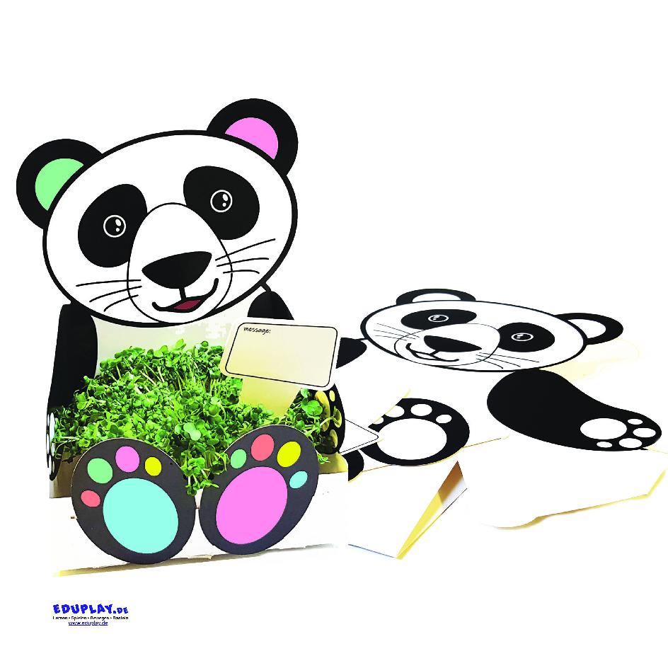 Pflanzschale Panda