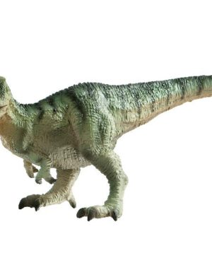 Tyrannosaurus Spielfigur Der Tyrannosaurus zählt zu den größten ... unter den Fleischfressern - ein König unter den räuberischen Reptilien. Er wurde ca. 13 Meter lang, 4 Meter hoch und hatte einen riesigen Schädel mit 15 cm langen Dolchzähnen. Mit einem einzigen Schritt konnte der Tyrannosaurus fast 4 Meter zurücklegen. Er lebte vor ca. 70 Mio. Jahren im Raum Nordamerika. Die Figur ist naturalistisch von Hand bemalt. Der Unterkiefer der Spielfigur ist beweglich, sodass Tyrannosaurus auf Beutejagd gut zupacken kann.