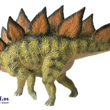 Stegosaurus Spielfigur Der Stegosaurus gehört zur Gattung der Dinosaurier Er lebte vor 195 Millionen Jahren in Nordamerika. Das ca. 6 Meter lange und 2,5 Meter hohe Urtier hatte zum Schutz vor Feinden dicke, zweireihige Knochenplatten über den Rücken verteilt und mächtige Stacheln am Schwanzende. Der Stegosaurier war ein reiner Pflanzenfresser und bewegte sich nur langsam auf allen Vieren. Bedingt durch seinen kleinen Kopf hatte er nur ein kleines Gehirn, dafür aber im Rückenmark ein zweites Nervensystem in zehnfacher Größe. Die Figur ist naturalistisch von Hand bemalt.