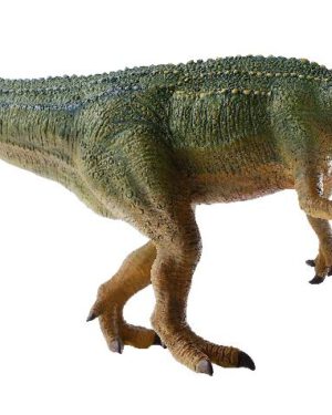 Giganotosaurus Spielfigur Giganotosaurus lebte vor etwa 90 - 100 Millionen Jahren ... in der Oberkreide in Argentinien. Er war ähnlich wie Tyrannosaurus Rex, ein zweibeinig laufender Raubsaurier. Allerdings war Giganotosaurus mit einer Länge von 13 Metern, einem Gewicht von 6-7 Tonnen größer und schwerer als ein Tyrannosaurus Rex. Zudem hatte er längere Arme und an jeder Hand drei Finger. Forscher vermuten, dass Giganotosaurus bis zu 14 m pro Sekunde laufen konnte. Der Name - Giganotosaurus - setzt sich aus den Wörter gigas (Riese), notos (Süden) und sauros (Echse) zusammen. Giganotosaurus ist also eine riesige Echse aus dem Süden. Die Figur ist naturalistisch von Hand bemalt. Der Unterkiefer der Figur lässt sich bewegen, so kann Giganotosaurus auf Beutejagd gut zupacken.