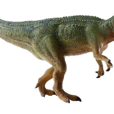 Giganotosaurus Spielfigur Giganotosaurus lebte vor etwa 90 - 100 Millionen Jahren ... in der Oberkreide in Argentinien. Er war ähnlich wie Tyrannosaurus Rex, ein zweibeinig laufender Raubsaurier. Allerdings war Giganotosaurus mit einer Länge von 13 Metern, einem Gewicht von 6-7 Tonnen größer und schwerer als ein Tyrannosaurus Rex. Zudem hatte er längere Arme und an jeder Hand drei Finger. Forscher vermuten, dass Giganotosaurus bis zu 14 m pro Sekunde laufen konnte. Der Name - Giganotosaurus - setzt sich aus den Wörter gigas (Riese), notos (Süden) und sauros (Echse) zusammen. Giganotosaurus ist also eine riesige Echse aus dem Süden. Die Figur ist naturalistisch von Hand bemalt. Der Unterkiefer der Figur lässt sich bewegen, so kann Giganotosaurus auf Beutejagd gut zupacken.