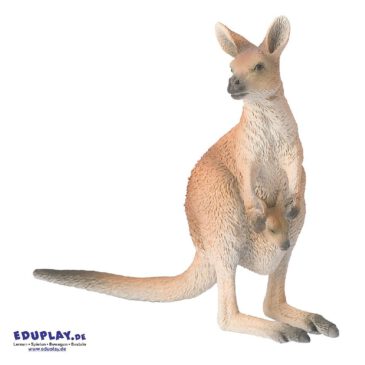 Känguru Spielfigur Wie die Emus sind auch Kängurus ein Wappentier Australiens ... Da sie sich nur vorwärts bewegen können gelten sie dort als Symbol des Fortschritts. Das wohl charakteristischste Merkmal der Beuteltiere sind ihre deutlich längeren Hinterbeine, auf denen sie sich springend fortbewegen können. So können sie auf kurzer Distanz Geschwindigkeiten von bis zu 50 km/h erreichen. Ihr Vorkommen beschränkt sich auf Australien, Neuguinea und Tasmanien. Bei der Wahl ihrer Lebensräume sind die Pflanzenfresser jedoch relativ anpassungsfähig, sie bewohnen tropische Regenwälder genauso wie Busch- und Graslandschaften oder trockene Steppen- und Wüstenregionen. Die PVC-freie Spielfigur ist naturgetreu von Hand bemalt. Mit dem Gütesiegel SPIEL GUT ausgezeichnet.