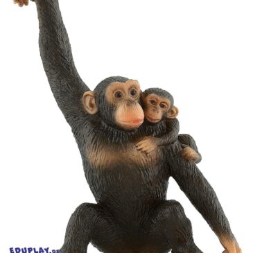 Affenmama mit Kind Spielfigur Schimpansen sind unsere nächsten Verwandten im Tierreich ... Das Verhalten von Mensch und Tier ist sehr ähnlich. Der Schimpanse gilt als das intelligenteste Tier. Zum Beispiel benutzen sie Steine und Holzstücke als Hammer, Äste, mit denen sie nach Nahrung stochern oder zerkaute Blätter als Schwamm. Sprechen können Schimpansen leider nicht. Dennoch wurde in Zoos den Tieren eine Art Zeichensprache beigebracht, mit der sie sich mit Tierpflegern verständigen können. Die Tiere sind am Tag sehr aktiv. Sie leben auf dem Boden und auf Bäumen. Mit ihren Händen können sie sich geschickt von Ast zu Ast hangeln. Schimpansen sind Allesfresser. Hauptsächlich fressen sie Blätter, Blüten, Früchte, Samen und Nüsse. Aber auch Insekten und Raupen nehmen sie zu sich. Die PVC-freie Spielfigur ist naturgetreu von Hand bemalt.