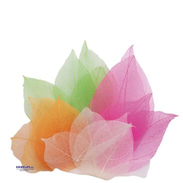 Echte Magnolia-Blätter 300 Stück Blütenblätter für fantasievolle Bastelarbeiten ... Die Blütenblätter können vielseitig verwendet werden, um Federn für exotische Collage-Vögel zu basteln, in Kombination mit Pfeifenputzern Blumen zu kreieren, eine Girlande anzufertigen oder um Röcke und Kleider für Steckpuppen zu basteln. Ca. 300 Stück.
